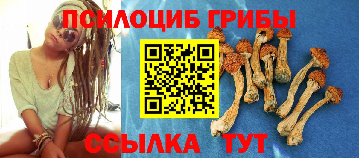 Галлюциногенные грибы ЛСД  Псилоцибиновые грибы GOLDEN TEACHER  Малгобек  Вход с VPN 